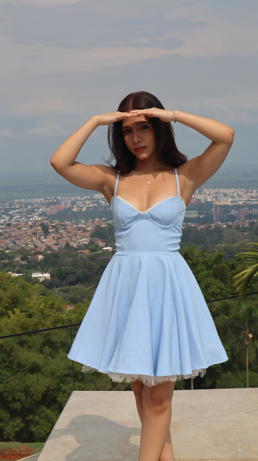 ELOISE MINI DRESS